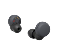 Sony LinkBuds S 